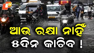 Odisha Braces for Rain and Thunderstorms Over Next 24 Hours