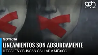 Guidelines are absurdly illegal and seek to silence Mexico
