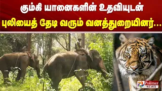 கும்கி யானைகளின் உதவியுடன் புலியைத் தேடி வரும் வனத்துறையினர்...
