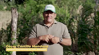 🌽 The history of corn in Nicaragua told in "The Golden Grain Route"