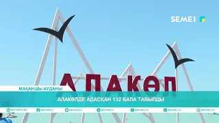 Алакөлде адасқан 132 бала табылды
