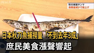 日本秋刀魚捕撈量「不到去年3成」　庶民美食漲聲響起－民視新聞