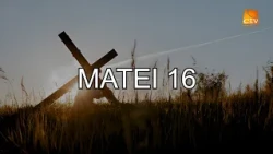 Bible Reading Matthew 16