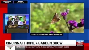 Previewing the Cincinnati Home + Garden Show