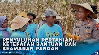 AGRICULTURAL OUTREACH, TARGETED ASSISTANCE, FOOD SECURITY [KITORANG PRECISION]