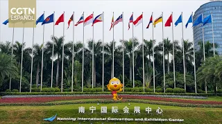 23rd China-ASEAN Expo opens in Nanning
