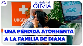 Olivia's Garden | Karina couldn't get over the accident - Chapter 346