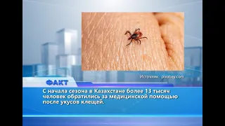 Факт (Рика ТВ) от 1 июля 2026 года