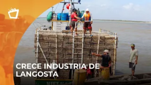 Flota pesquera se prepara para el inicio de la veda