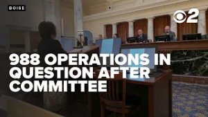 The stability of suicide lifeline 988 in question after budget committee hearing