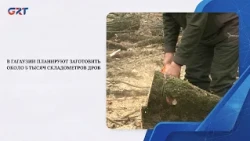 GAGAUZIA PLANS TO HARVEST AROUND 5,000 STACKED CUBIC METERS OF FIREWOOD