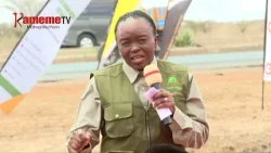 KAMEME_081026_PKG_7PM_GREENING HIGHWAYS-MBATARU