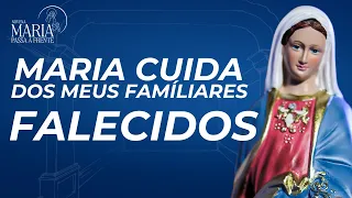 "Mary Goes Before Us" Novena | 08/26/13 | Father Rodolfo Camarotta
