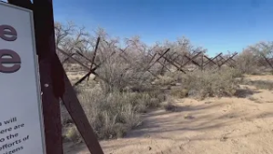 Jetty jack removal in Albuquerque’s Bosque hits new hurdle