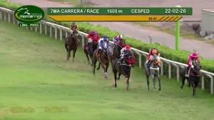 Hipódromo Monterrico - 7ma Carrera 22 Febrero 26