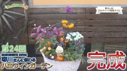 Lifestyle Culture Time: Introduction to Gardening, Part 25