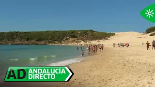 Andalucía Directo | Picture-perfect vacation at the idyllic Bolonia Beach