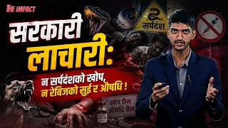 सरकारी अस्पतालमा औषधी ’जिरो स्टक: सर्पदंश र रेबिजको एन्टिभेनम सङ्कट || The Impact