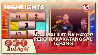 EAT BULAGA | Maliit na Hayop ang Nakakatanggal ng Tapang Kapag Dumikit sa ’Yo? | September 26, 2026