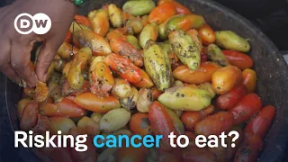 Why millions in Nigeria are risking their health to eat, as food costs soar | DW News