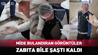Stomach-Churning Footage! Even the Inspectors Were Left Speechless...