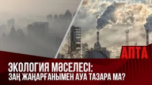 Экология мәселесі: Заң жаңарғанымен ауа тазара ма?