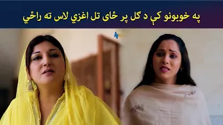 په خوبونو کې د ګل پر ځای تل اغزي لاس ته راځي || Zhobal Guluna || AVT Khyber