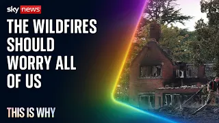 We should all be worried about the UK's wildfires. This Is Why.