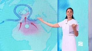 მაღალი ტემპერატურა ევროპის ქვეყნებში; ექიმები-2026.07.11