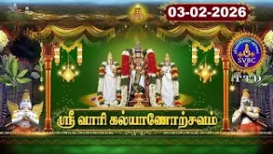 Srivari Kalyanotsavam || Tirumala || SVBC2 Tamil || 03-02-2026 || SVBC TTD