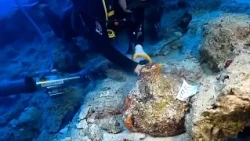 Turquie : des plongeurs mettent au jour les trésors d’une épave vieille de 4 700 ans