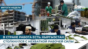 В СТРАНЕ РАБОТА ЕСТЬ. КЫРГЫЗСТАН СТОЛКНУЛСЯ С НЕХВАТКОЙ РАБОЧЕЙ СИЛЫ