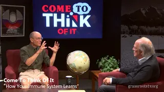 How Your Immune System Learns: B Cells, T Cells & the Physics of Fighting Disease with Ned Wingreen