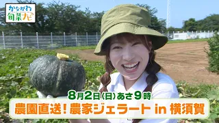 かながわ旬菜ナビ　次回予告（8月2日放送）