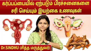 கர்ப்பப்பையில் ஏற்படும் பிரச்சனைகளை சரி செய்யும் வழிகள் என்ன ? | Uterus Problem | Dr.Sindhu |
