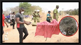 KIDNAPPERS ABDUCT CHILD, MURDER HIM, AND LEAVE BODY IN A TREE