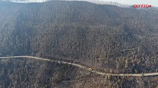 Vouzela wildfire was the biggest of the year. Over 14 thousand hectares of forest destroyed