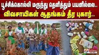 பூச்சிக்கொல்லி மருந்து தெளித்தும் பயனில்லை.. விவசாயிகள் ஆதங்கம் தீர புகார்..