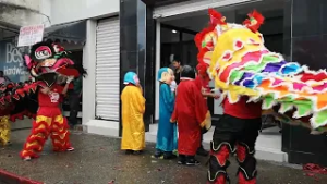 Year Of The Horse Charging In