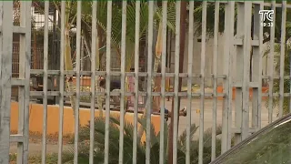 "Mayimbú" killed in an armed attack south of Guayaquil
