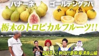 DB芸人！秋の行楽旅！那須烏山編　その４