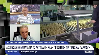 Αισιόδοξα μηνύματα για το ακτινίδιο
