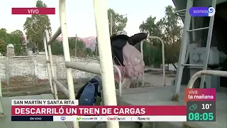 Descarriló un tren de cargas en Las Heras y Policía custodia la zona para proteger la carga