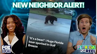 Bruno Mars concert proposal in Tampa? PLUS, Florida bear in neighborhood | Florida For Reel