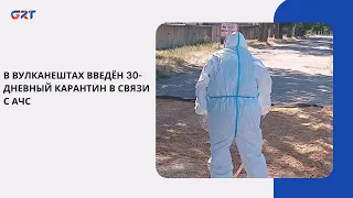30-DAY QUARANTINE IMPOSED IN VULCANESTI DUE TO ASF