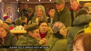 ŠLAPÁNÍ ZELÍ LESNÁ