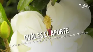 Cuál es el aporte de los jardines botánicos - TvAgro por Juan Gonzalo Angel