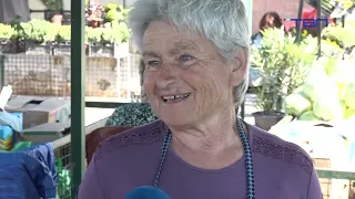 Kupus: povrće koje hrani svet i leči telo - TV Pančevo