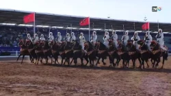El Jadida Horse Exhibition: Wednesday, October 14, 2026