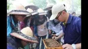 贏在地球村 Win The World—德屋風格木皮板天然無毒 工藝美學兼具